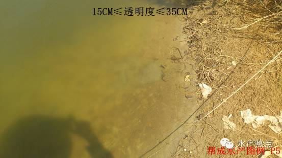 中國養殖基地 yzjidi.com