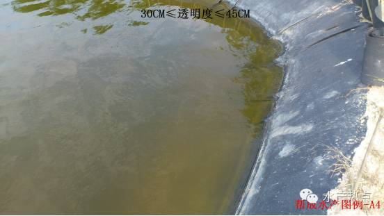 中國養殖基地 yzjidi.com