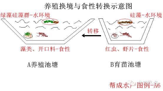 中國養殖基地 yzjidi.com