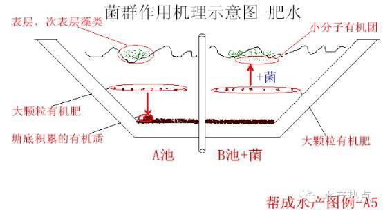 中國養殖基地 yzjidi.com