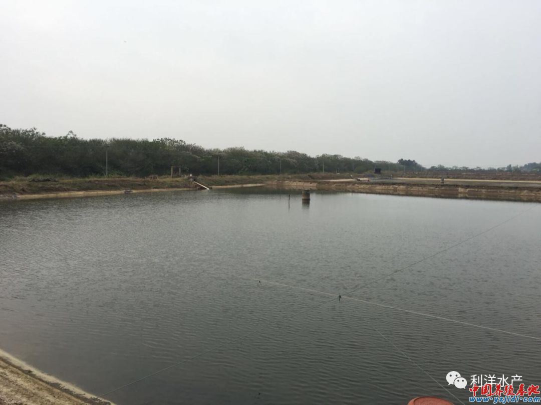 中國養殖基地 yzjidi.com