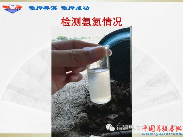 中國養殖基地 yzjidi.com