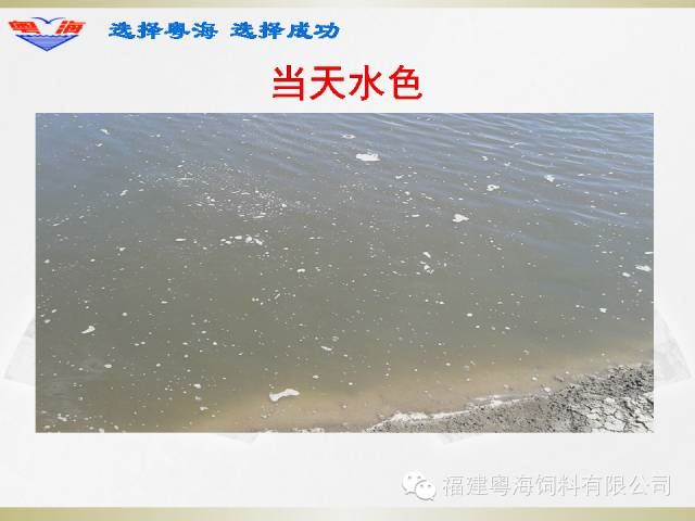 中國養殖基地 yzjidi.com
