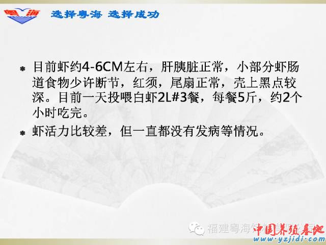 中國養殖基地 yzjidi.com
