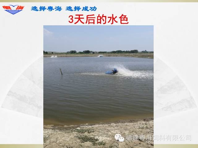 中國養殖基地 yzjidi.com