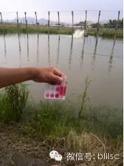 中國養殖基地 yzjidi.com