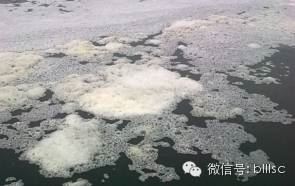 中國養殖基地 yzjidi.com