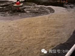 中國養殖基地 yzjidi.com