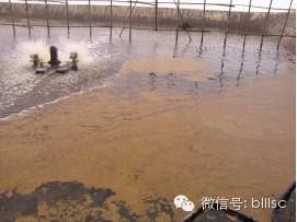 中國養殖基地 yzjidi.com