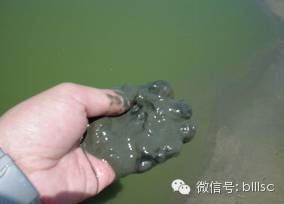 中國養殖基地 yzjidi.com