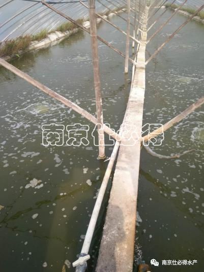 中國養殖基地 yzjidi.com