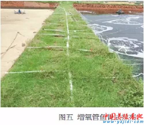 中國養殖基地 yzjidi.com
