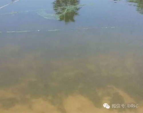 中國養殖基地 yzjidi.com