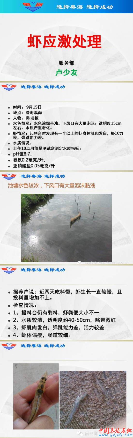 中國養殖基地 yzjidi.com