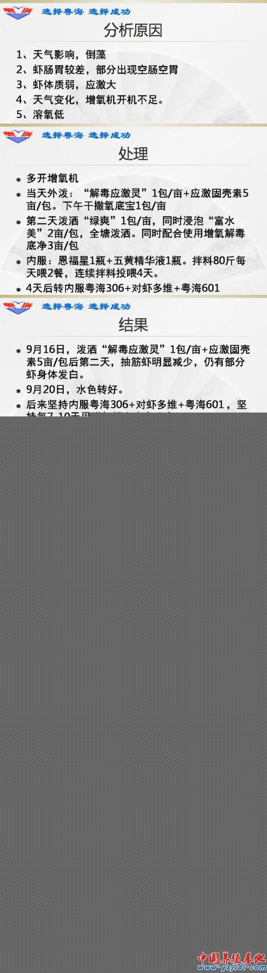 中國養殖基地 yzjidi.com