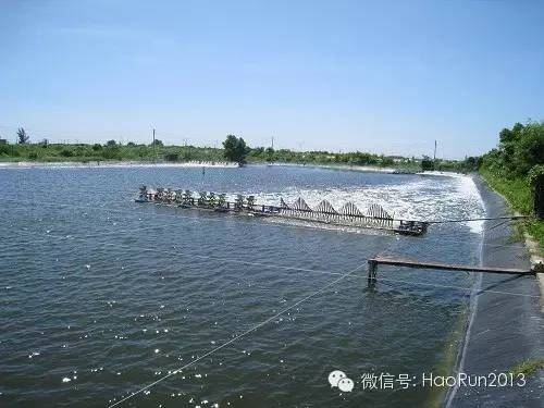 中國養殖基地 yzjidi.com