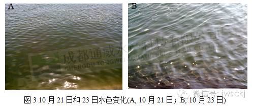 中國養殖基地 yzjidi.com