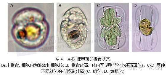 中國養殖基地 yzjidi.com