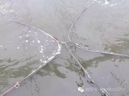中國養殖基地 yzjidi.com