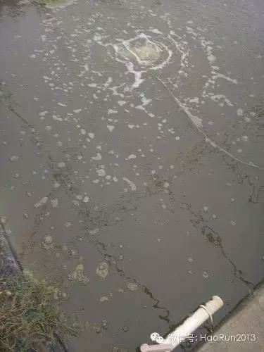 中國養殖基地 yzjidi.com
