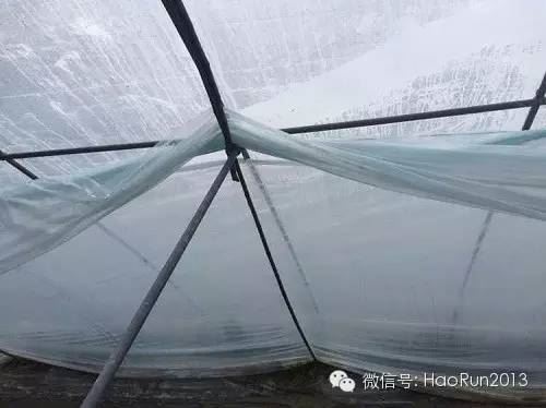 中國養殖基地 yzjidi.com