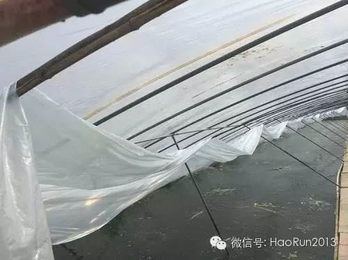 中國養殖基地 yzjidi.com