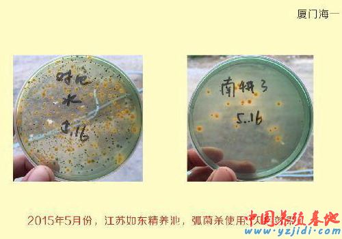 中國養殖基地 yzjidi.com