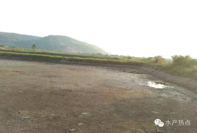 中國養殖基地 yzjidi.com