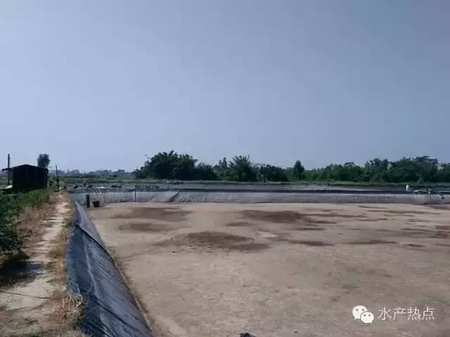 中國養殖基地 yzjidi.com