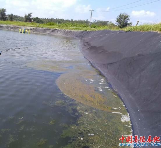 中國養殖基地 yzjidi.com