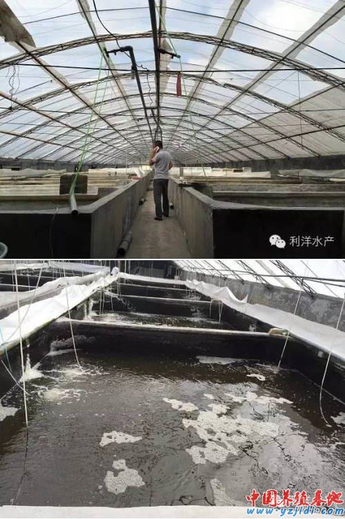 中國養殖基地 yzjidi.com