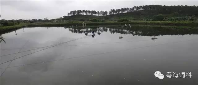 中國養殖基地 yzjidi.com