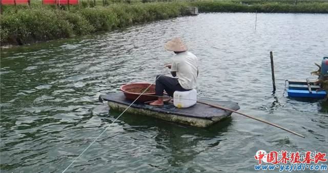 中國養殖基地 yzjidi.com