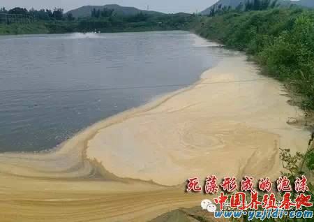 中國養殖基地 yzjidi.com