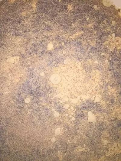 中國養殖基地 yzjidi.com