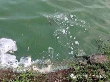 中國養殖基地 yzjidi.com