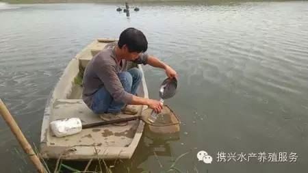中國養殖基地 yzjidi.com