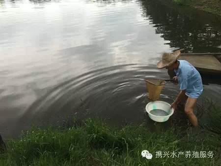 中國養殖基地 yzjidi.com