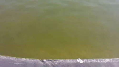 中國養殖基地 yzjidi.com