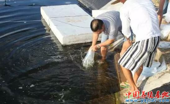 中國養殖基地 yzjidi.com