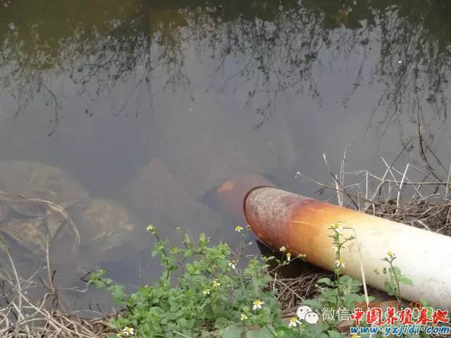 中國養殖基地 yzjidi.com