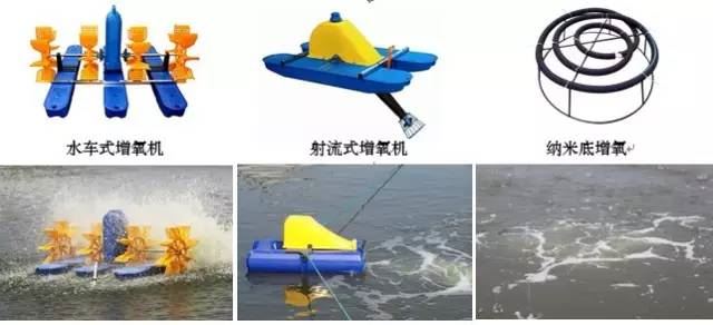 中國養殖基地 yzjidi.com