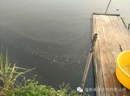中國養殖基地 yzjidi.com