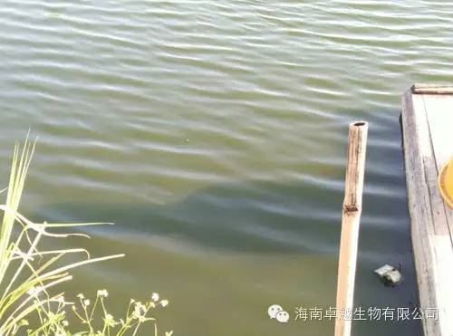 中國養殖基地 yzjidi.com