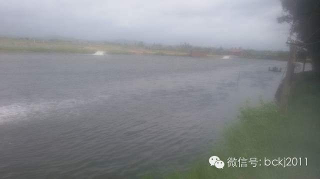 中國養殖基地 yzjidi.com