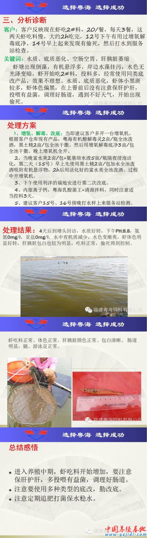 中國養殖基地 yzjidi.com