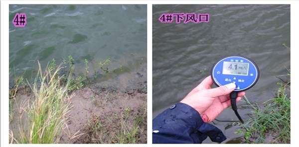 中國養殖基地 yzjidi.com