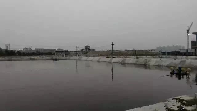 中國養殖基地 yzjidi.com