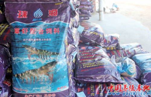 中國養殖基地 yzjidi.com
