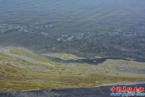 中國養殖基地 yzjidi.com